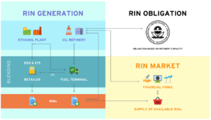 RIN Generation flow on the left side and the RIN Obligation and the RIN Market on the right side.